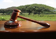 Recuperação Judicial Traz Segurança Jurídica para Produtores Rurais